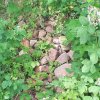0-hhenschotter-4